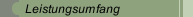 Leistungsumfang